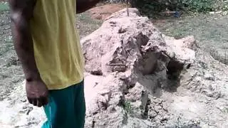 Amazing Property Nigeria