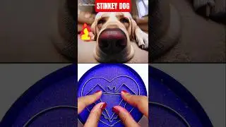 What happened with the doggo! 🤬🫨 og:​⁠@VuxVux #memes #funny#dinker #roblox #cutedog