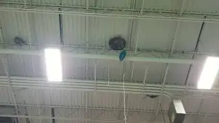 Getting Balloons off of the Ceiling