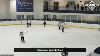 RSMT Squirt B2 Gold @ Bemidji White (2026.01.31)