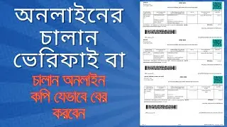 Rules for checking online challan verification. Online Treasury Chalan Verify