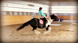STELLA STRIKES AGAIN WITH A NEW RIDER! Day 006 (01/06/19)