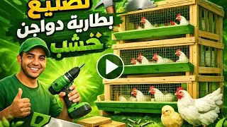 طريقة عمل البطارية الخشب فك وتركيب #poultry #دجاج #تربية_الدواجن #طيور #اكسبلور 