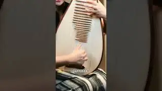 猫咪老师琵琶课程轮指暴虐营10 练法八：挑轮的套路 1