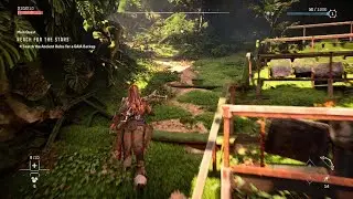 Horizon Forbidden West Pullcaster