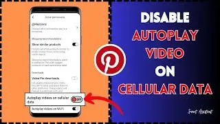 How to Disable Autoplay Video on Cellular Data on Pinterest