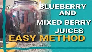 How We Home Can Our Blueberry Juice | Mixed Berry Juice | Easy Method