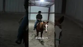 Обучение верховой езде. Ясность. Освоение коммуникации для достижения успеха.