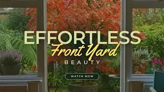 10 Stunning All Season Dwarf Trees 🌳 for Effortless Front Yard Beauty 🌸