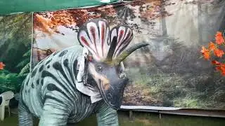 Exhibition 2024 Kerala | Robotic Animals | Robotic Zoo | Chavakkad Exhibition 2024