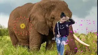Jis domrey leng neng bon. //ducaty ho&agrave;ng minh
