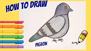 How to draw a pigeon-easy step by step drawing