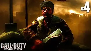 VLAG PLAATSEN OP DE RECHSTAG! // COD: World At War Campaign #4