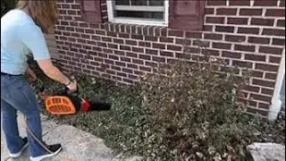 Watch it Blow! WORX Electric Blower and Gutter Pro with your Feet on the Ground.