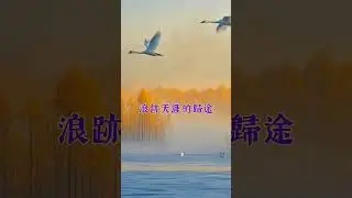 小提琴奏鳴曲  海濱之歌   /     湖的澄明