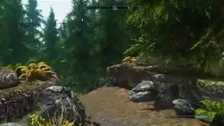 TES Skyrim Realvision ENB + 15 mods with i5 and GTX 1070