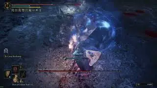 Demi-Human Swordmaster Onze parry/riposte