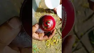 SG TEST ball 🏀 unboxing 🔥 #cricket #ball #youtubeshorts #viral