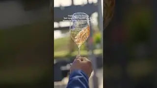 Beautiful Wineries in Temecula Ca
