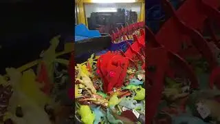 Claw Machine Dinosaur