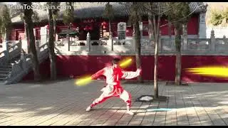 Shaolin monks true power