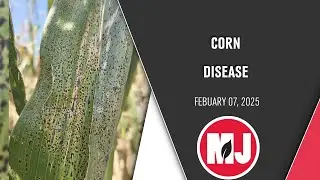 In The Field Update | Southern Rust, Tar Spot & Emerging Threats for 2025 | February 07, 2025