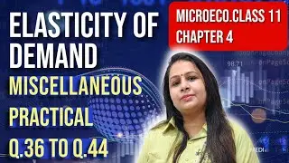 Elasticity of Demand | Miscellaneous Practical Questions 36 to 44 | Microeconomics | Class 11 | Ch 4
