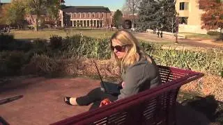 Leadership and Organizations | University College at the University of Denver