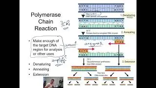H#28 DNA Sequencing And Profiling