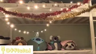 KNUFFEL Vlog #2 - ‘Kerstspecial’