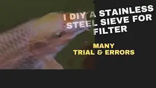 DIY stainless steel sieve for mechanical filter #koi #koipond #fishaquarium #fishtank #aquarium