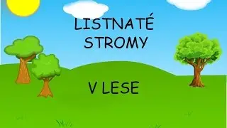 Listnaté stromy - učíme se poznat listnaté stromy v lese