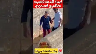 Happy Valentine Day Sinhala Songs #shorts❤️&zwj;🔥❣️🌹💐💞💑💏💕❤️&zwj;🩹❤😍 Whatsapp status Facebook tiktok google