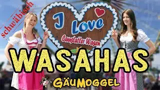 Wasahas 
