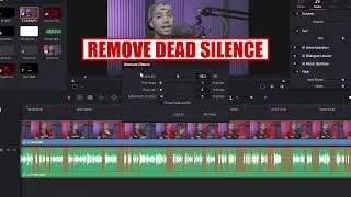 Remove Dead Silence Gaps [ DaVinci Resolve 20.2 New Feature ] Tutorial
