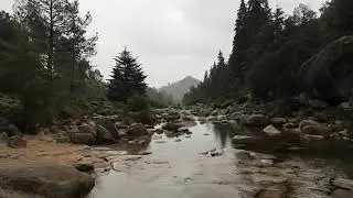 Free Rain Stock Video Footage Download