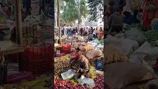 Farmer's market on Thursdays and Sundays. Rishikesh, India