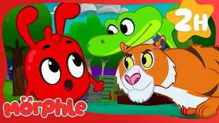 Scary Animal House! | Morphle Classics | Cartoons for Kids