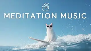 Surf Therapy 🌊 | Cool Cat Surfing to Relaxing Meditation Music | Boost Positive Energy & Focus #539