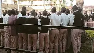 Alfajiri ya kupendeza-kanunga high