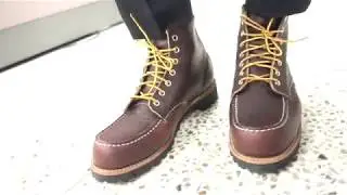 레드윙 8146 REDWING 8146