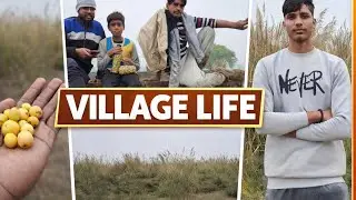 👉 Village Jungle Adventure 😨 | Muddy River | Desi Funny Vlog