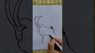Ibex Drawing