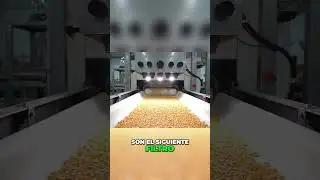 &iexcl;As&iacute; es como se hace palomitas perfectas! Incre&iacute;ble proceso industrial