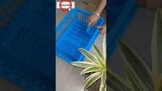 #Unboxing #solimo #dishdrainer #dishdrying #plastic #rack #kitchen #utensil #Purbaskitchen&Vlogging