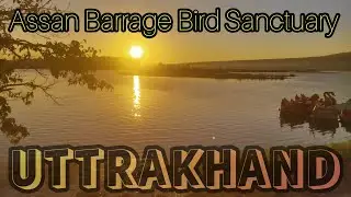 Sun Rising at Assan Barrage Bird Sanctuary | Dehradun | Uttrakhand #Lake #birdsanctuary #herbertpur