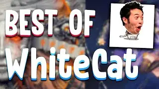 Best of: WhiteCat