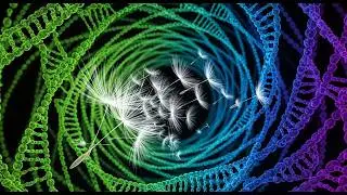 Rewriting DNA: The Ethics of Human Enhancement