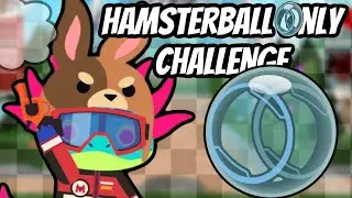 Super Animal Royale but you can only use Hamster balls