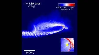 Fully relativistic global tidal disruption event - after first pericenter passage